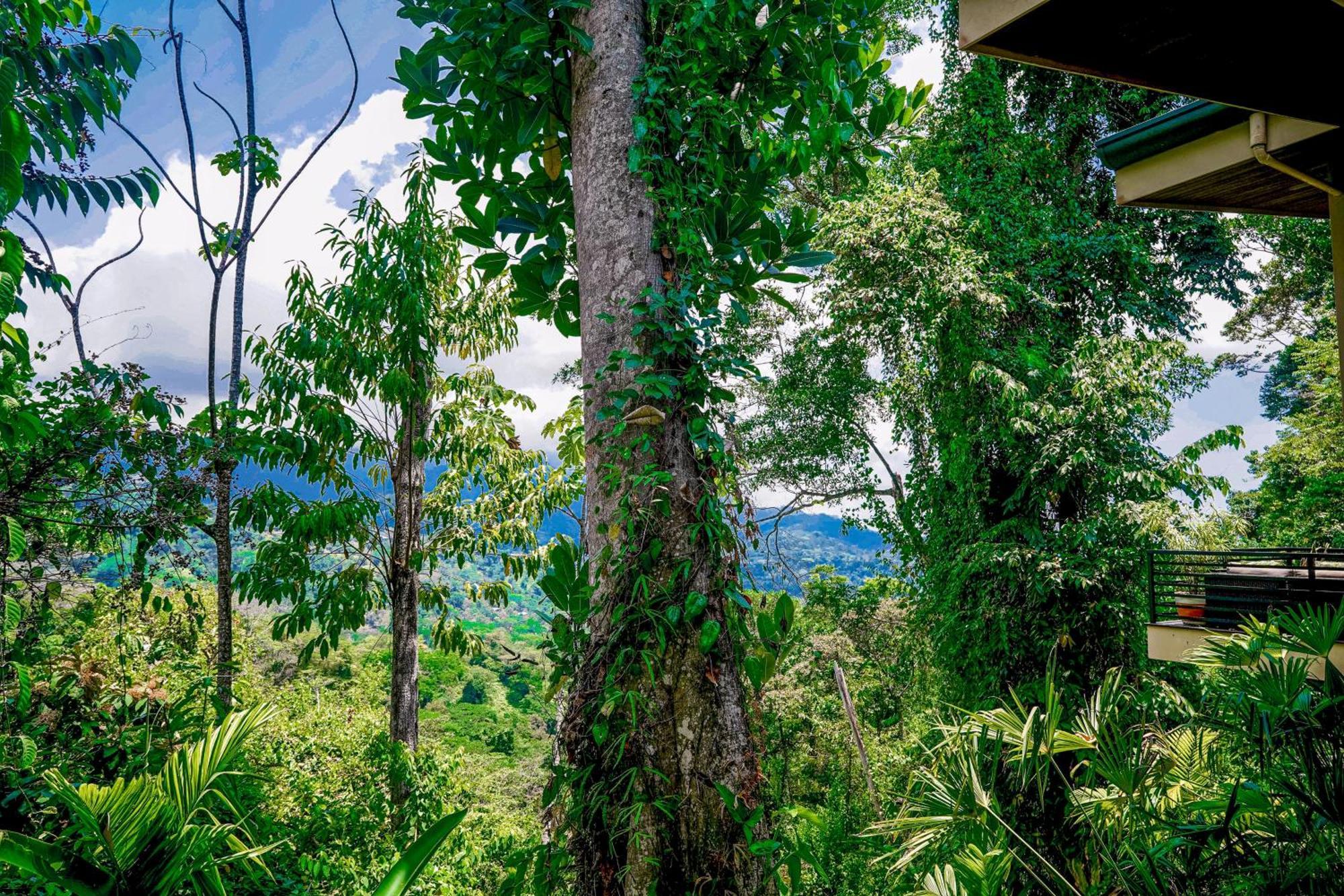 Casa Vista Verde Uvita Esterno foto